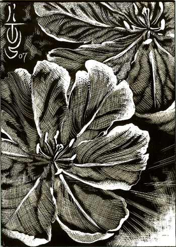 LITOS - SCRATCHBOARD FLOWER !